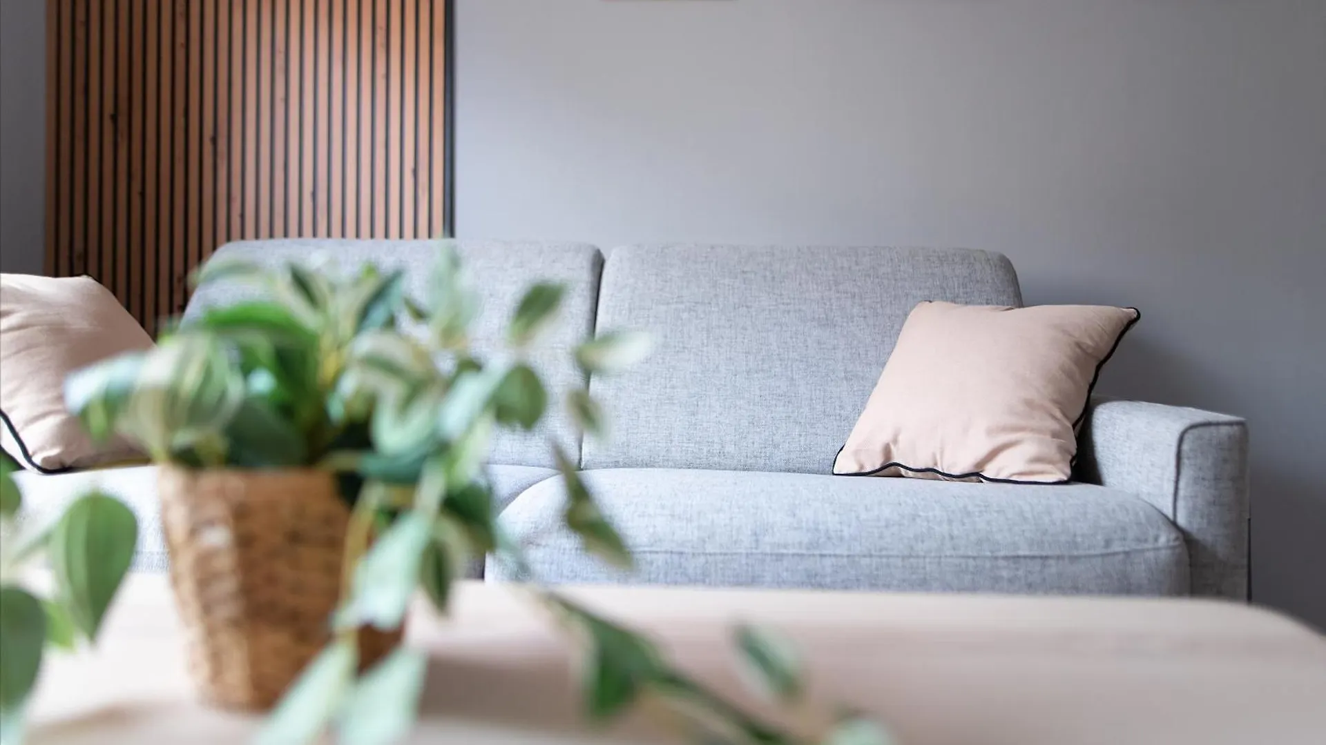 Studio Raymond IV - Elegance Et Confort Toulouse Frankrike